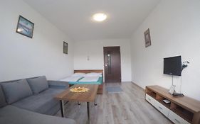 Apartment Igor